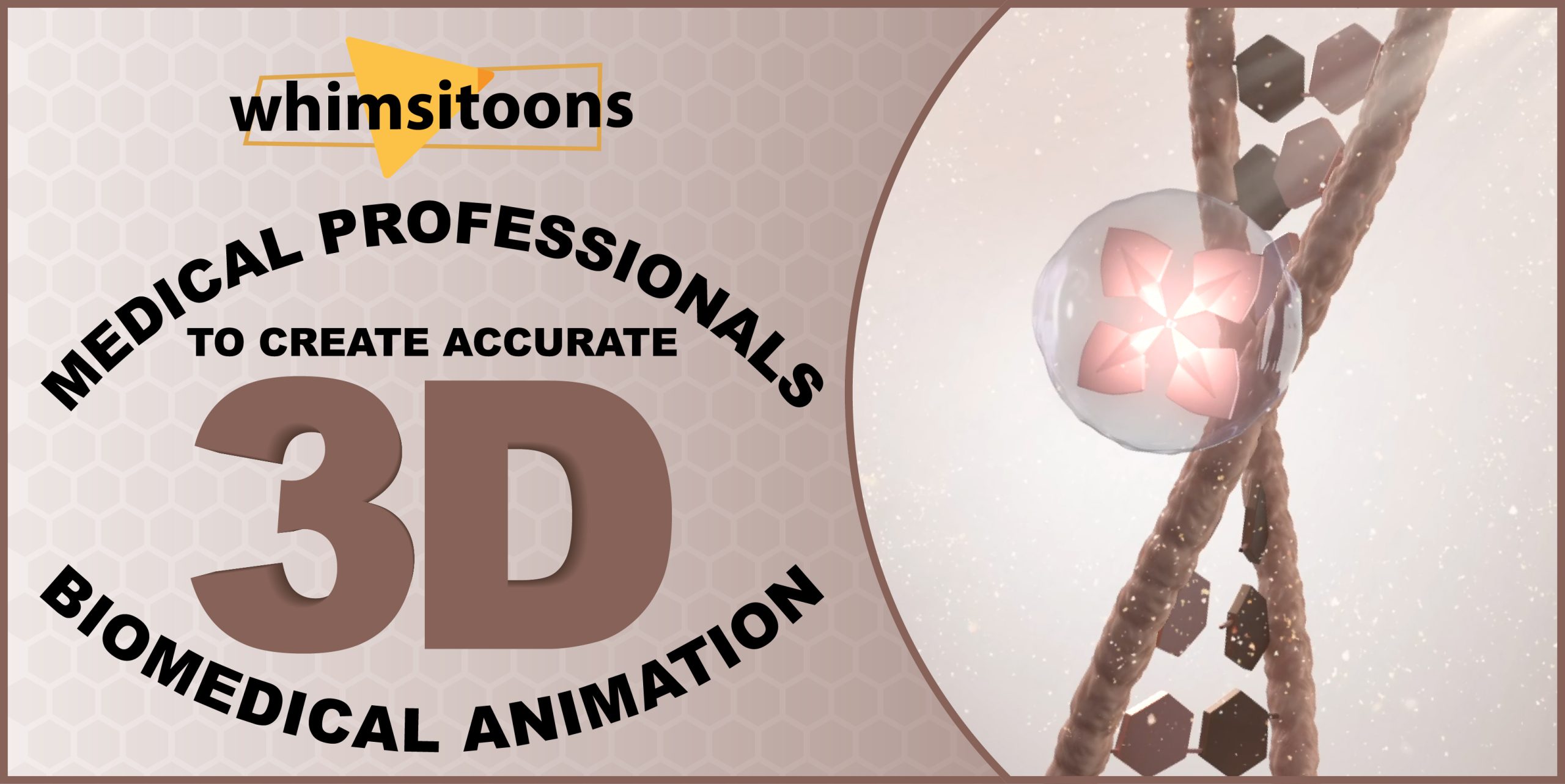 Collaborating with Medical Professionals to Create Accurate 3D Biomedical Animations Image