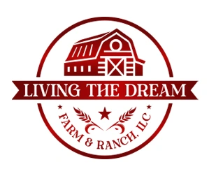 Whimsitoons Portfolio Image