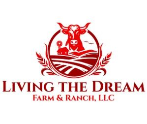 Whimsitoons Portfolio Image