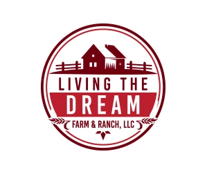 Whimsitoons Portfolio Image