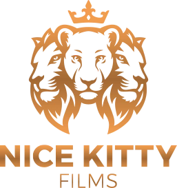 Whimsitoons Portfolio Image