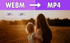 Whimsitoons Portfolio Image