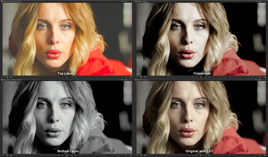 Whimsitoons Portfolio Image