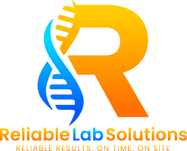 Whimsitoons Portfolio Image