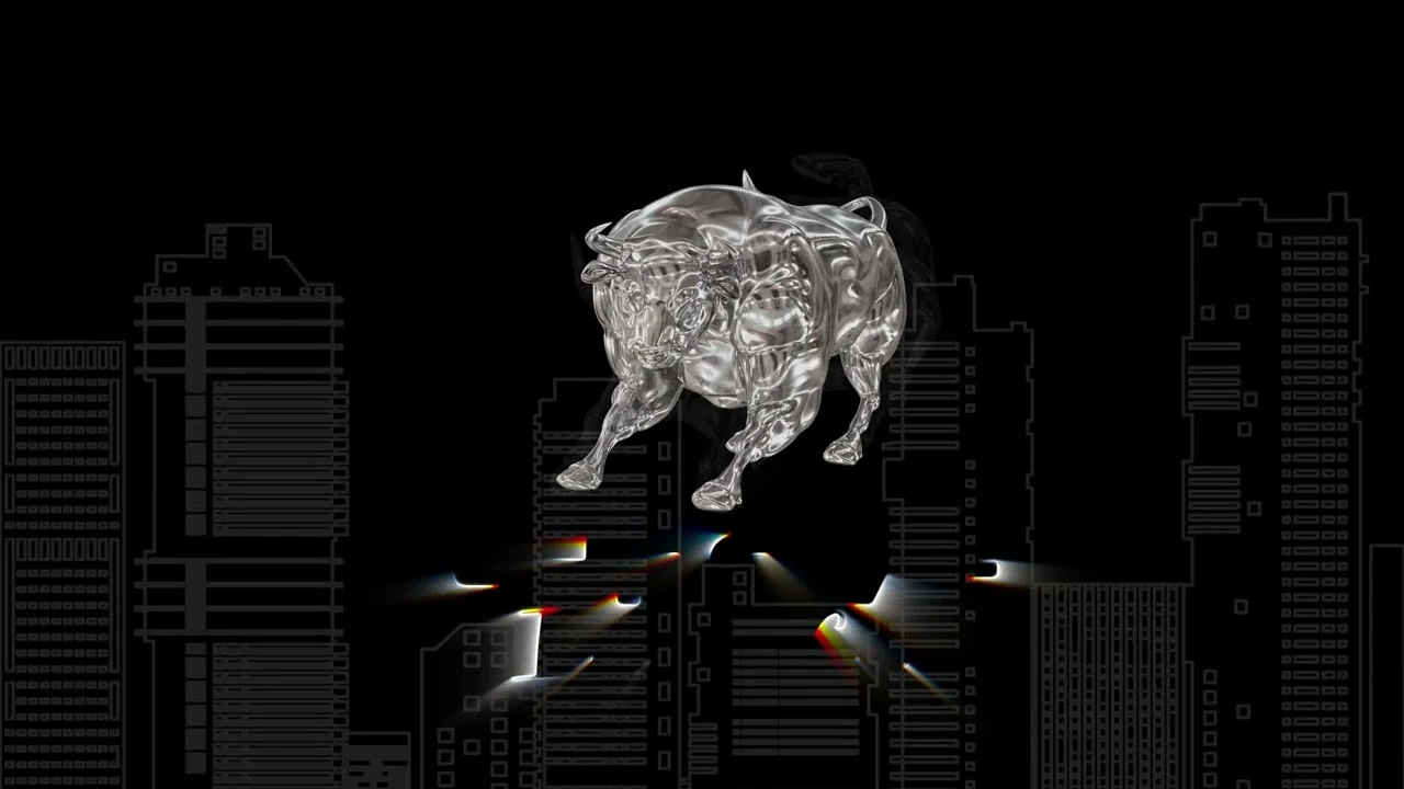 chrome investment corp